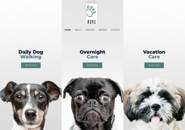 Digital Download Store Theme Product Featured Image 8 768x540